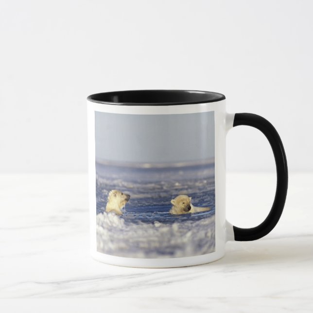 Taza Cachorros de oso polar jugando (Derecha)