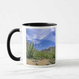 Taza Cactus del desierto en Monumento Nacional Organ Pi
