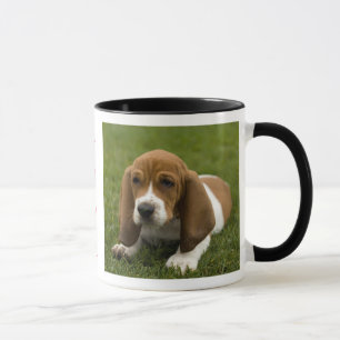Taza Café de jengibre cachorro enloquecido