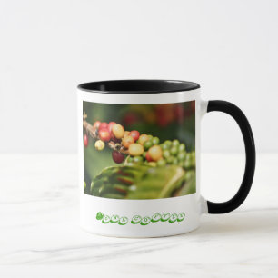 Taza Café Kona