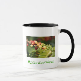 Taza Café Kona