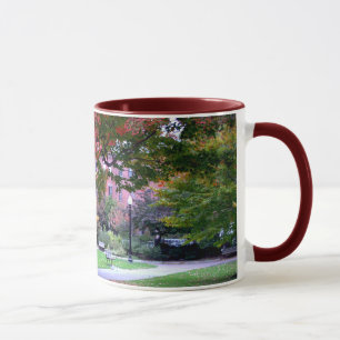 Taza Caída en el jardín público