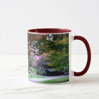 Taza Caída en el jardín público