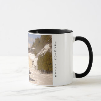 Taza Caídas de Trenton - altas caídas en invierno