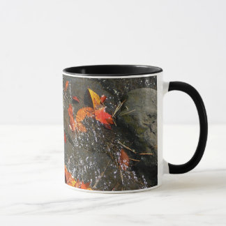 Taza Caídas en cataratas en fotografía de otoño