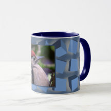 Cajas tumultuosas azules