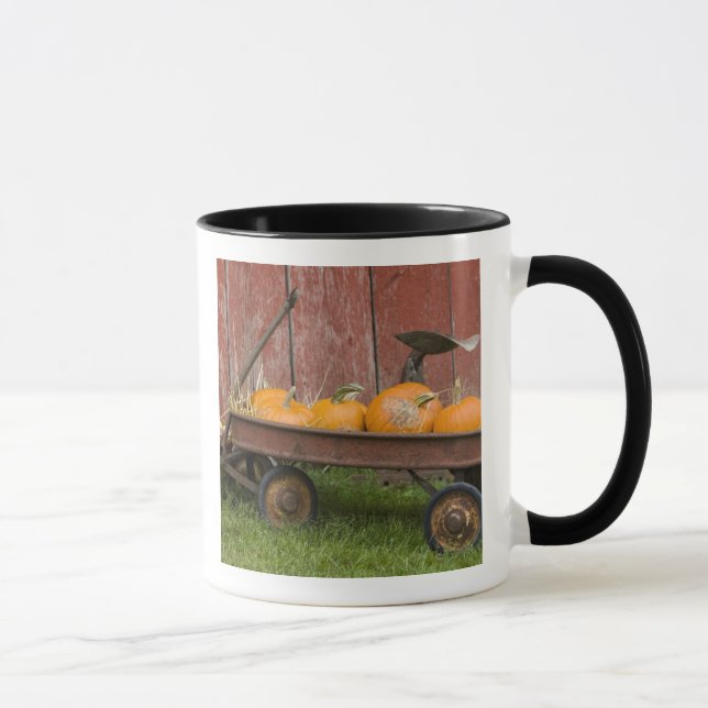 Taza Calabazas en vagón viejo (Derecha)