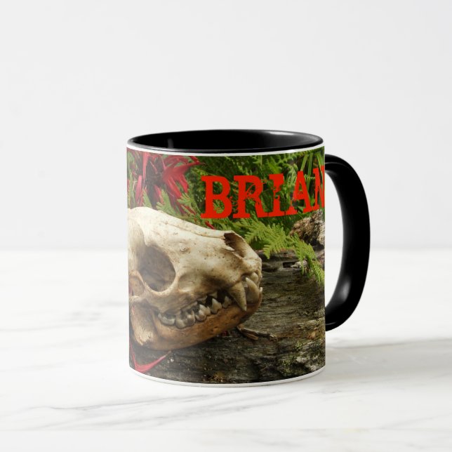Taza Calavera de mapache viejo tronco con helechos y Mo (Anverso derecho)