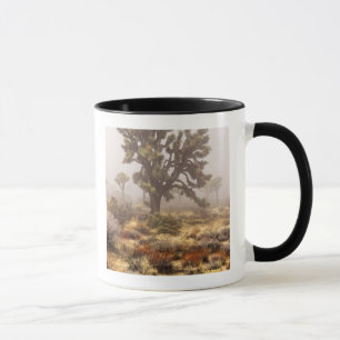 Taza California: Monumento Nacional Joshua Tree,