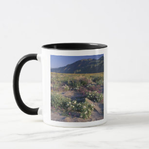 Taza California, Parque Estatal Desierto Anza-Borrego,