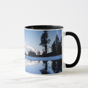 Taza California, Sierra Nevada Montañas, Yosemite 9