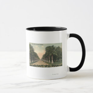 Taza CaliforniaPalms junto al camino