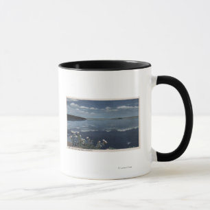 Taza CaliforniaView del mono lago en High Sierra