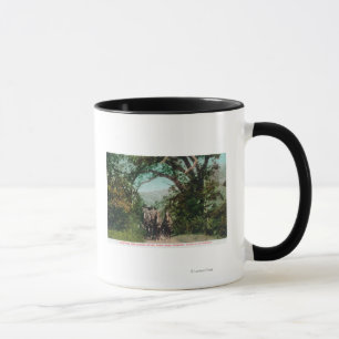 Taza Calistoga y Geyser Stagecoach en Foss Road