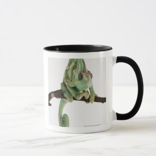 Taza Camaleón audazmente coloreado con característica