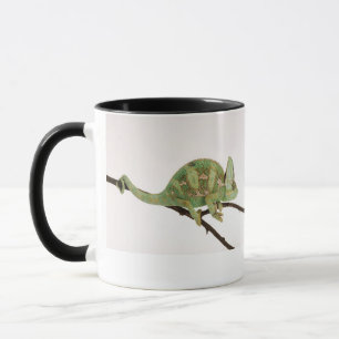 Taza Camaleón audazmente coloreado con la