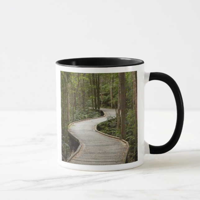 Taza Caminata a Nelson Falls, Franklin - Gordon (Derecha)