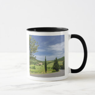 Taza Camino de campo que se curva entre los cipreses en