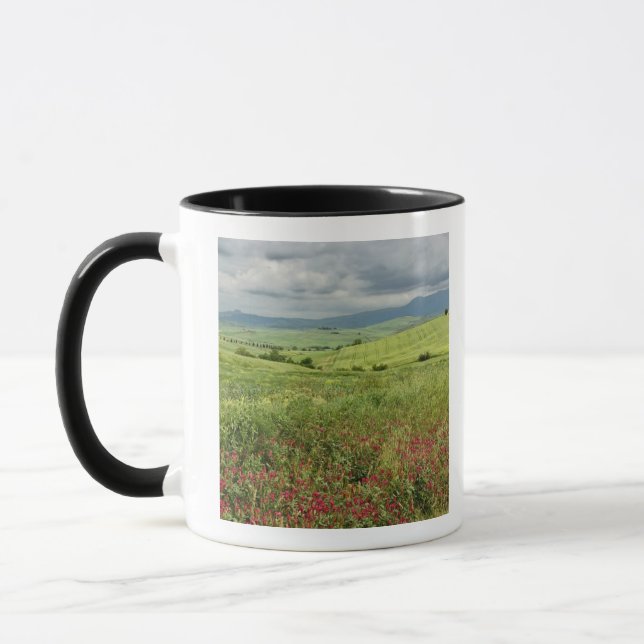 Taza Campo agrícola, región de Toscana, Italia. (Izquierda)