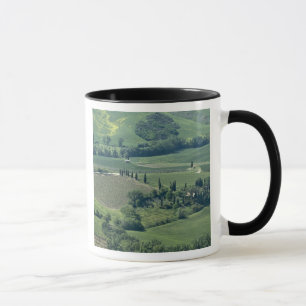 Taza Campo cerca de Montepulciano, Val d'Orcia,