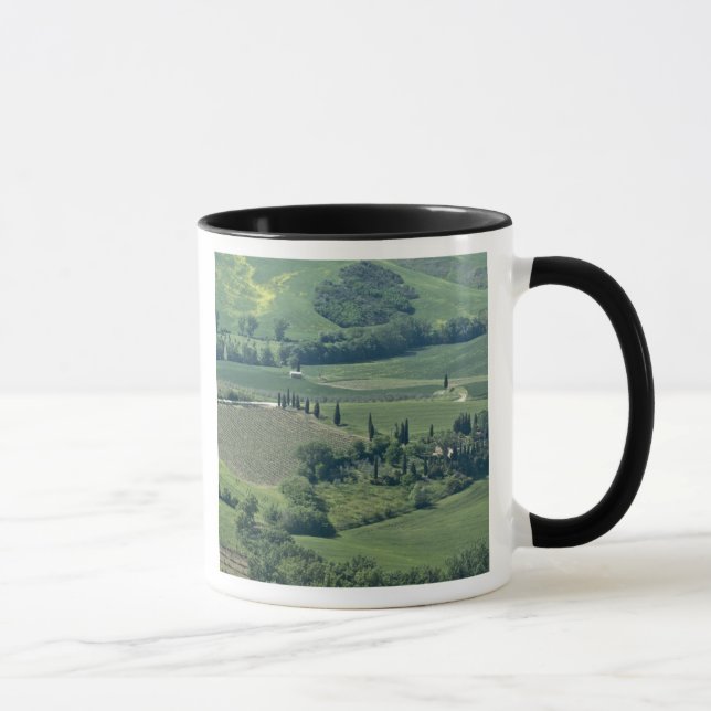 Taza Campo cerca de Montepulciano, Val d'Orcia, (Derecha)