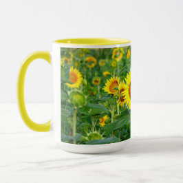 Taza Campo de girasol