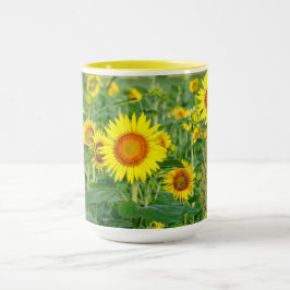 Taza Campo de girasol