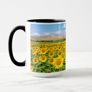 Taza Campo de girasol