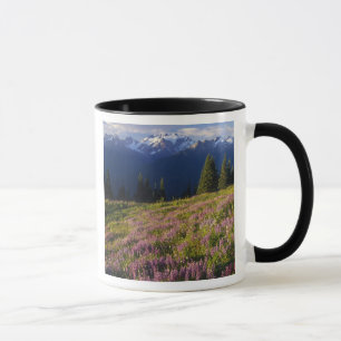 Taza Campo de lupino, Mt. Olympus, y nubes en