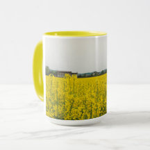 Campo de rapeseed