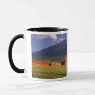 Taza Campo de trigo en el valle de Wallowa, justo afuer