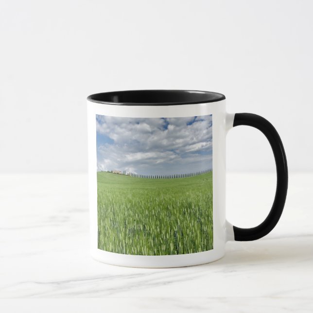 Taza Campo de trigo y accionamiento alineado por ciprés (Derecha)