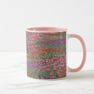 Taza Campo De Tulipanes