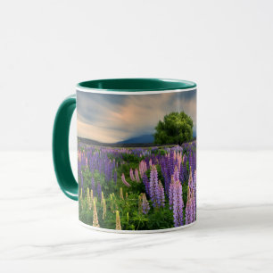 Taza Campo del altramuz en Nueva Zelanda