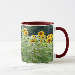 Taza Campo del girasol