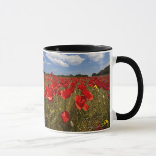 Taza Campo por completo de flores rojas