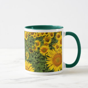 Taza Campos de girasoles, pueblo de la colina blanca de