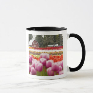 Taza Campos de tulipán del monte Vernon, condado de Sk