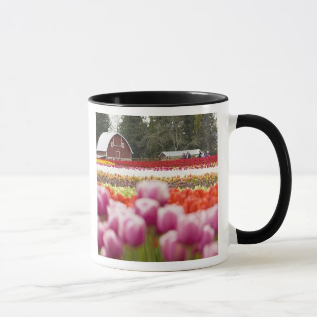 Taza Campos de tulipán del monte Vernon, condado de Ska (Derecha)