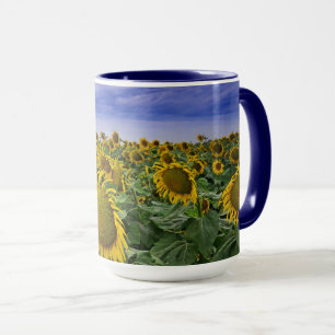 Taza Campos del girasol de California