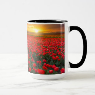 Taza Campos del tulipán en la puesta del sol en los