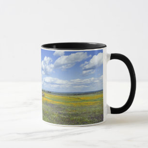 Taza Campos en primavera cerca de Guadalupe
