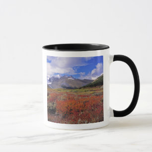 Taza Canadá, Alberta, Banff NP. Arándanos en flor