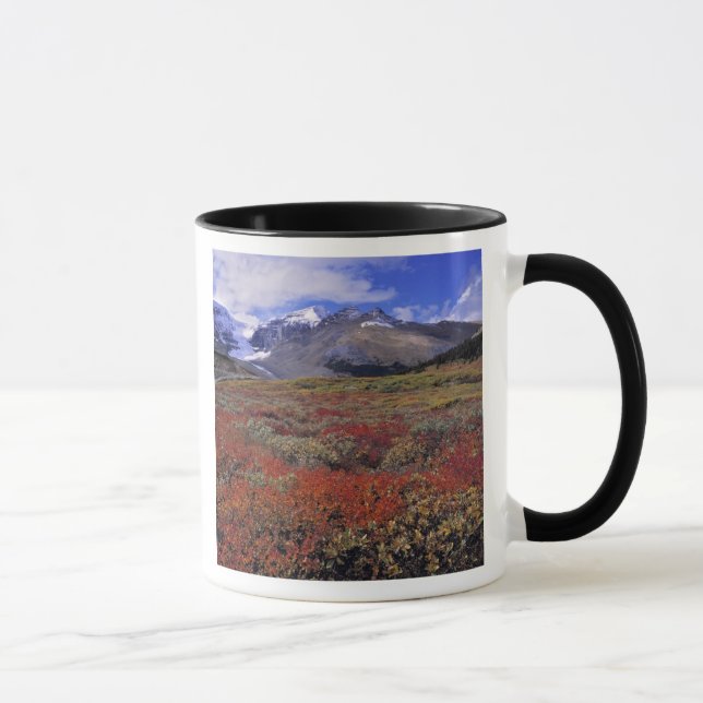 Taza Canadá, Alberta, Banff NP. Los arándanos proporcio (Derecha)