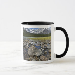 Taza Canadá, Alberta, Montañas Rocosas, Banff Nacional