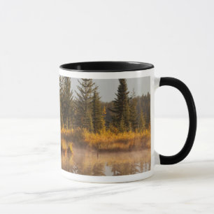Taza Canadá, Alberta, Parque Nacional Jasper