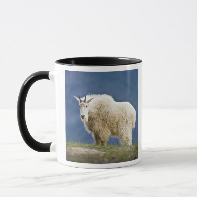 Taza Canadá, Alberta, Parque Nacional Jasper, (Izquierda)