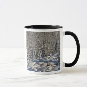 Taza Canadá, Alberta, Parque Nacional Jasper.