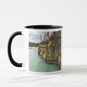 Taza Canadá, Alberta, Parque Nacional Jasper, Athabasca