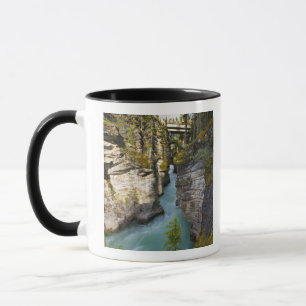 Taza Canadá, Alberta, Parque Nacional Jasper, Athabasca